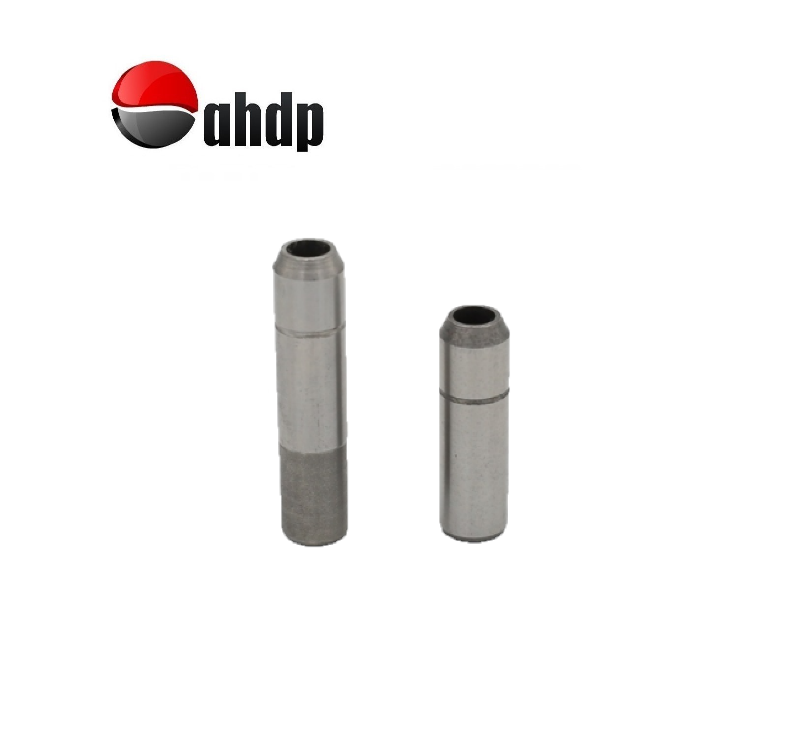 VALVE GUIDE SET IN+EX LOMBARDINI - LI014845162, LI014845164